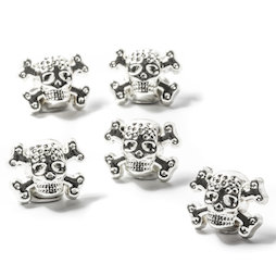 LIV-98, Calavera, escalofriantes imanes de nevera, 5 uds.