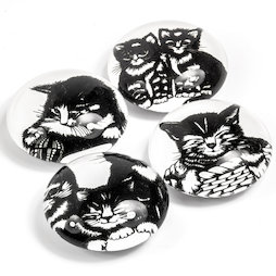 LIV-139, Gatitos, imanes decorativos con motivos de gatos, 4 uds.