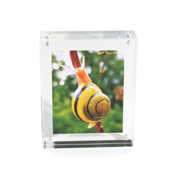 FRM-01, Marco de fotos 11${dec}5 x 9 cm, Con cierre magnético, de cristal acrílico (transparente), para formato horizontal y vertical